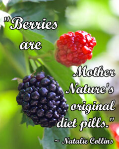 Berries are mother natures original diet pills