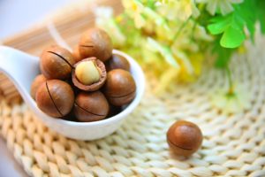 Macadamia nuts in the shell