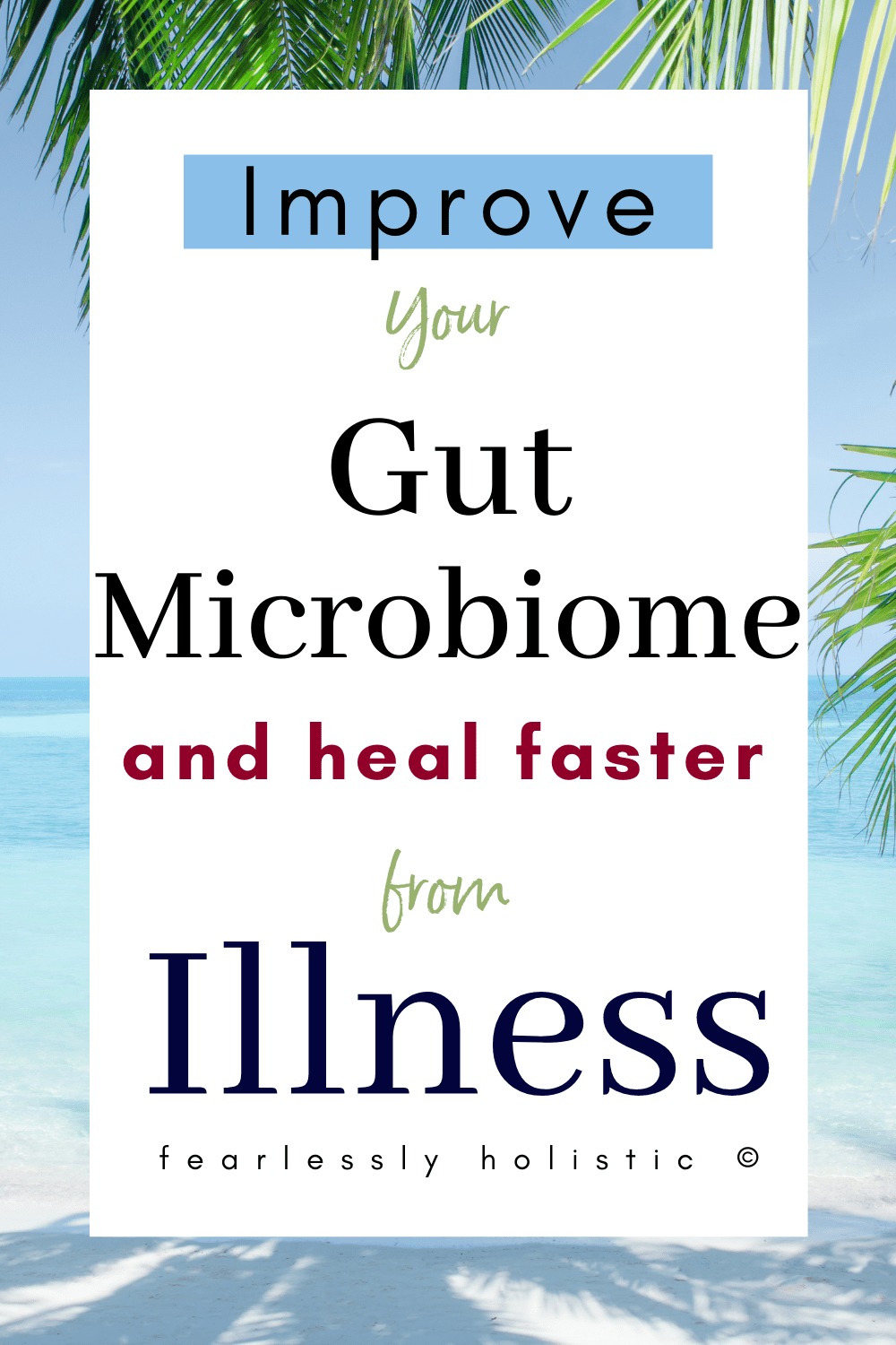 Improve Your Gut Microbiome Today