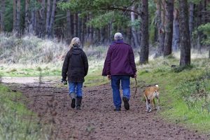 Take the dog for a walk