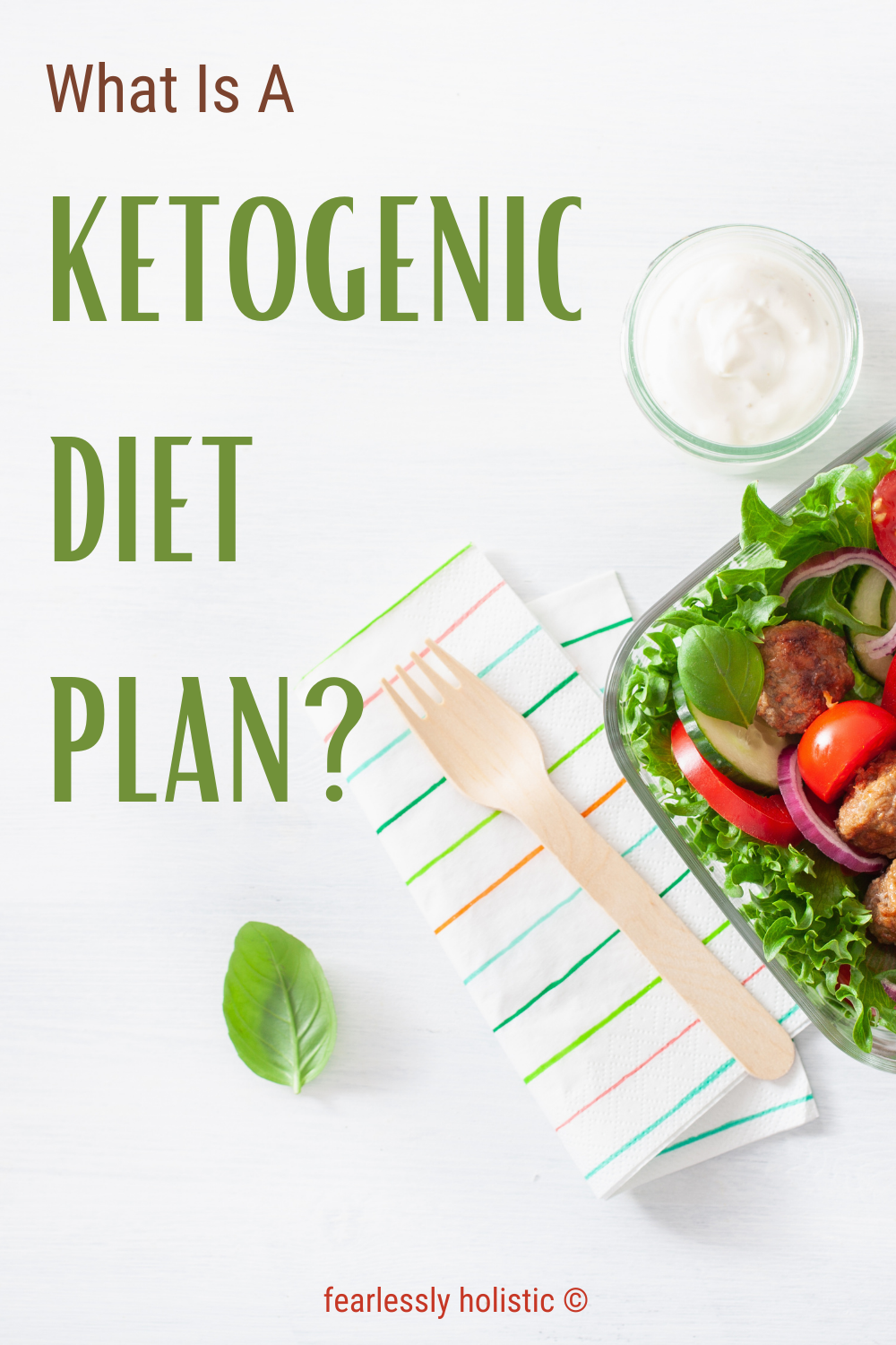What Is The Ketogenic Diet Plan?